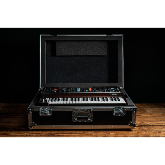 Moog Minimoog Model D ATA Case