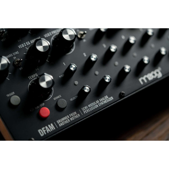 Moog Knob Kit