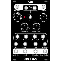 4ms Looping Delay