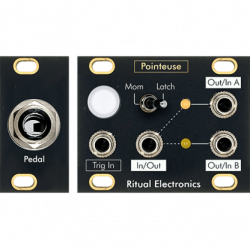 Ritual Electronics Pointuse 1u