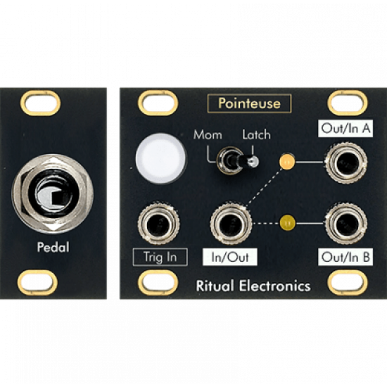 Ritual Electronics Pointuse 1u