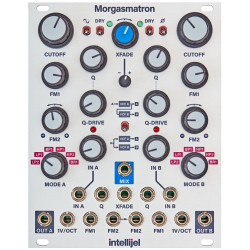 Intellijel Designs Morgasmatron