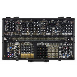 Make Noise Shared System Edition Black and Gold Plus