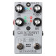 Alexander Pedals Quadrant Audio Mirror Alexander Pedals Quadrant Audio Mirror