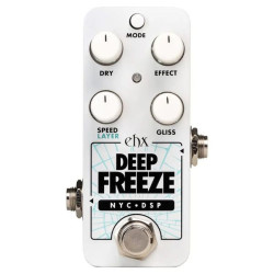 Electro Harmonix Pico Deep Freeze