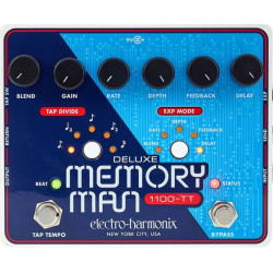 Electro Harmonix Deluxe Memory Man 1100 TT