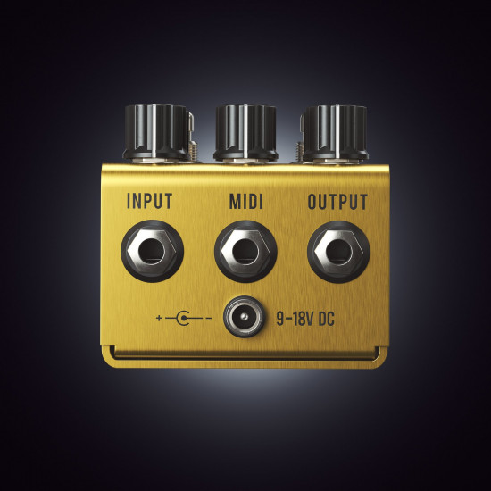 Jackson Audio GOLDEN BOY Jackson Audio GOLDEN BOY