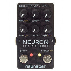 Neunaber Neuron Gain Intelligence