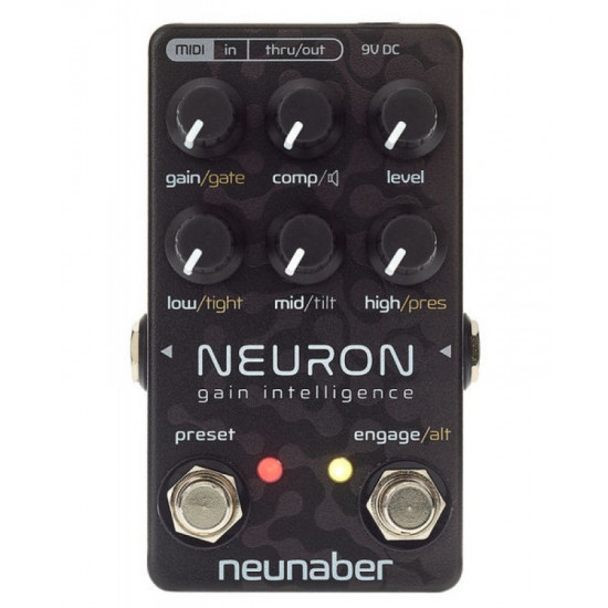 Neunaber Neuron Gain Intelligence