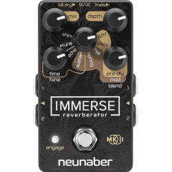 Neunaber Immerse Reverberator MK II