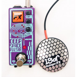 Rainger FX Deep Space Pulsar(& Igor, mic)