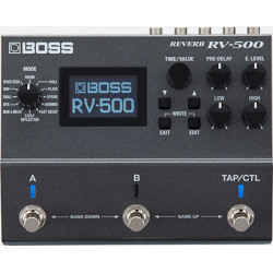 Boss RV-500