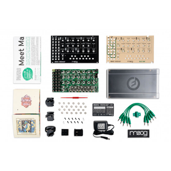 Moog Mavis semi modular DIY analog synthesizer