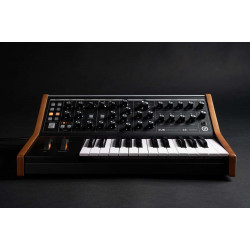 Moog Subsequent 25