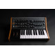 Moog Subsequent 25