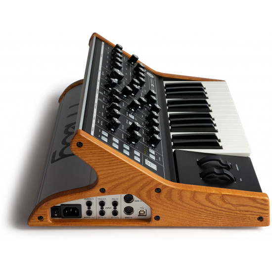 Moog Subsequent 25