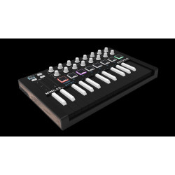 Arturia MiniLab MKII Inverted Edition