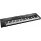 Native Instruments Kontrol A61 Native Instruments Kontrol A61