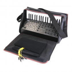 Soft carrying case for the MS20 MINI
