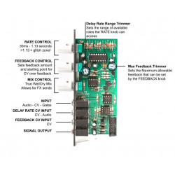 Synthrotek DLY Delay