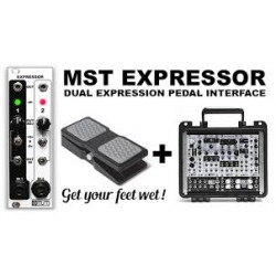 Synthrotek MST Expressor