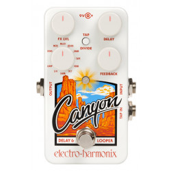 Electro Harmonix Canyon Delay & Looper