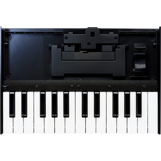 Roland Boutique K-25M USB Keyboard