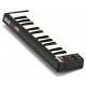 Akai LPK25 Laptop Performance Keyboard Akai LPK25 Laptop Performance Keyboard